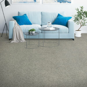 Carpet flooring for living room | Jack's Carpet & Tile