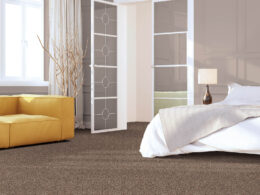 Carpet Inspiration Gallery