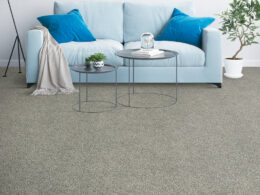 Carpet Inspiration Gallery