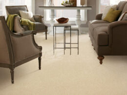 Carpet Inspiration Gallery