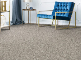 Carpet Inspiration Gallery