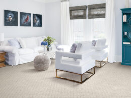 Carpet Inspiration Gallery