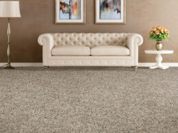 Carpet Inspiration Gallery