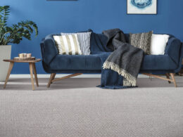 Carpet Inspiration Gallery