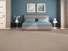 Carpet Inspiration Gallery