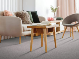 Carpet Inspiration Gallery