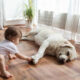 flooring-options-for-pet-owners